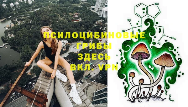 дживик Алзамай