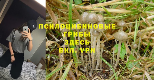 каннабис Осинники