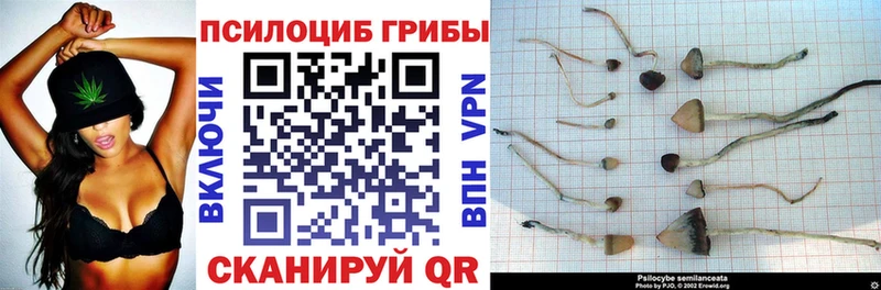 Псилоцибиновые грибы MAGIC MUSHROOMS  Алупка 